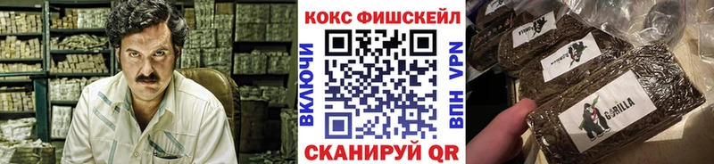 Кокаин Fish Scale  Купить где  Лесной 