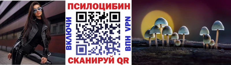 Галлюциногенные грибы Cubensis  Купить закладки  Лесной 